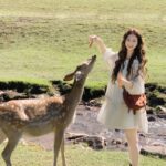 Gái Xinh Mặc Áo Dài Trắng Những Khoảnh Khắc Tỏa Sáng Vẻ Đẹp Tinh Tế Và Nữ Tính